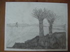 Bootje
