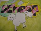 schaap