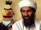 Bin laden