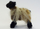 schaap