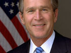 dood bush