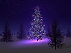 mery christmass