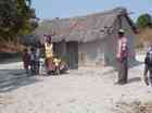 Nelson en snor