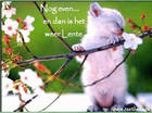 mijn stuff