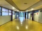 School